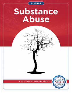 Youth Substance Abuse